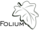 Folium