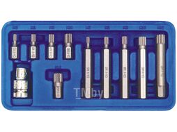 Набор специальных бит SPLINE VOREL в пласт.боксе-11шт 66770