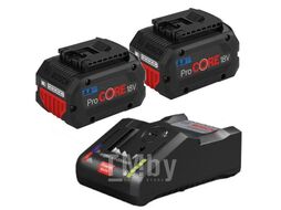 Комплект аккумулятор 18.0 В ProCORE18 V 2 шт. + зарядное устройство GAL 18V-160 C (Набор ProCORE18 V 8,0Ah 2 шт. + GAL 18V-160 C) (BOSCH)