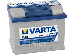 Аккумуляторная батарея VARTA BLUE DYNAMIC 19.5/17.9 рус 60Ah 540A 242/175/190 560127054