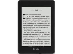 Электронная книга Amazon Kindle Paperwhite 8GB Шалфей