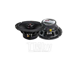 Акустика CDT Audio CL-6X