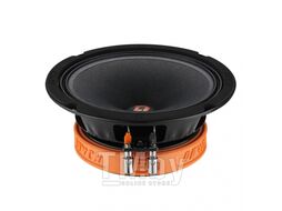 Акустика DL Audio Raven 165