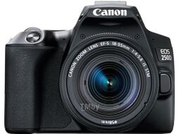 Зеркальный фотоаппарат Canon EOS 250D Kit EF-S 18-55mm IS STM / 3454C002 (черный)