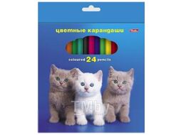 Набор цветных карандашей Hatber Любимцы / Кс24_22 (24цв)