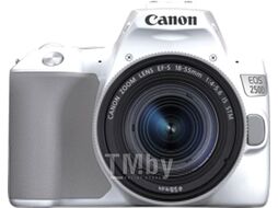 Зеркальный фотоаппарат Canon EOS 250D Kit EF-S 18-55mm IS STM / 3458C001 (белый)