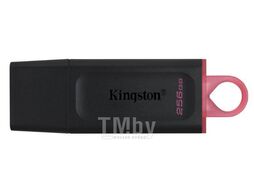 Флэш накопитель Kingston Exodia DTX/256GB