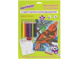 Раскраска Юнландия Птичка с цветными карандашами / 661607