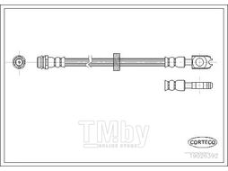 Шланг тормозной AUDI A3 1.6-1.9TDI, VW GOLF IV Front L=435 CORTECO 19026392