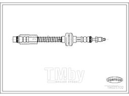 Шланг тормозной передн. Citroen Evasion 94-02, Jumpy 95-, Fiat Scudo 96-, Ulysse 94-02, Lancia Zeta 95-02, Peugeot 806 94-02, Expert 96- CORTECO 19025702