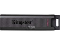 Usb flash накопитель Kingston Data Traveler Max 256Gb (DTMAX/256GB)