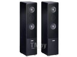 Акустическая система Canton Ergo 670 DC (black speakers)