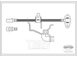 Шланг тормозной FORD TRANSIT 2.4DI 00-06 CORTECO 19032982