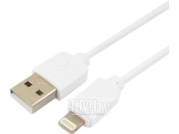 Кабель Гарнизон GCC-USB2-AP2-0.5M-W