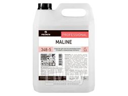 Чистящее средство для сантехники Maline (Малин) 5л 348-5