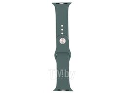 Ремешок Evolution Sport AW44-S01 для Apple Watch 42/44 мм (pine needle green)