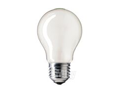 Лампа Philips Stan. A55 230V 40W E27 FROSTED