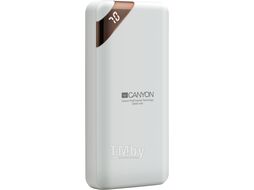 Зарядное устройство CANYON CNE-CPBP20W