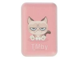 Портативное зарядное устройство Ritmix RPB-10007_GRUMPY_CAT