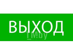 Пиктограмма "Выход" 320х120мм (для EXIT, SAFEWAY-40) EKF