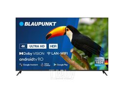 Телевизор Blaupunkt 65UB7000T