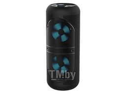 Музыкальный центр TELEFUNKEN TF-PS2205S (черный)