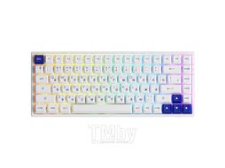 Клавиатура Akko 3084B Plus White & Blue 1561222 (Akko CS Jelly Purple)