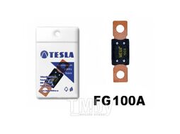 Предохранители MEGA 100A FG serie 32V DC (10 шт) TESLA FG00.100.010