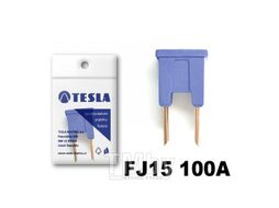 Предохранители картириджного типа 100A FJ15 serie 32V DC (5 шт) TESLA FJ15.100.005