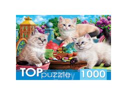 Пазлы 1000 элементов Котята и чаепитие TOPpuzzle ХТП1000-2157