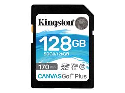 Память (flash-карты) KINGSTON SDG3/128GB