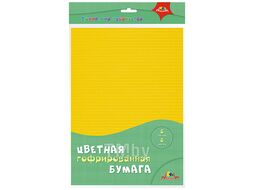 Бумага цветная гофрированная А4 8л. 8цв. упаковка ПЭТ- пакет Апплика С2457-05