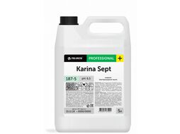 Жидкое бактерицидное мыло Karina Sept (Карина Септ) 5л Pro-Brite 187-5