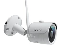 IP-камера Ginzzu HWB-2301A