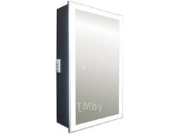 Шкаф с зеркалом для ванной Silver Mirrors Hamburg Black 462x762 / LED-00002669