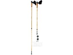 Палки для скандинавской ходьбы Kaiser Sport Nordic Walking / SL-2B-2-135-G (золотой)