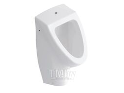 Писсуар Idevit Halley в комплекте с сифоном 29x32x54 Up Water Inlet - Back Water Outlet K0007-0306-001-1-0000+3890GZ50B2