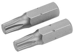 Набор вставок (бит) торцевых 1/4", Torx, T10, 25 мм, 2 предмета TOLSEN TT20221