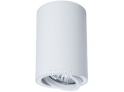 Точечный светильник Arte Lamp Sentry A1560PL-1WH