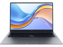 Ноутбук Honor MagicBook X16 2024 (BRN-F56) (5301AHHM)