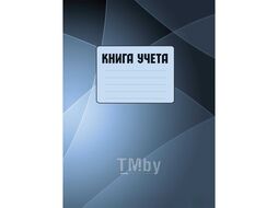 Книга канцеляр. А4 210*297 мм, 100 л., в клетку обл. ламинир. карт., серый/голубой Колор 11с001/2443/2499/2570