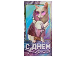 Открытка-конверт Dream Cards "C Днем рождения! Кошка" Miland ФХЛ-00026