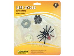 Фигурки в наборе "Life Cycle" паук Darvish DV-T-2994