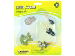 Фигурки в наборе "Life Cycle" лягушка Darvish DV-T-2991