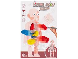 Игрушка "Human body" Darvish SR-T-3568