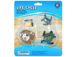 Фигурки в наборе "Life Cycle" черепаха Darvish DV-T-2989