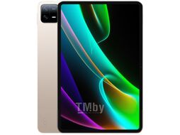 Планшет Xiaomi Pad 6 8GB/256GB / 23043RP34G (золото/шампань)