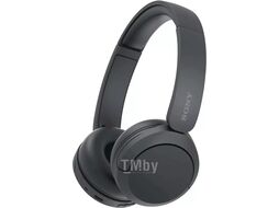 Bluetooth наушники SONY WH-CH520 Чёрный