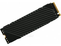 Накопитель SSD Digma PCI-E 4.0 x4 2Tb DGST4002TG33T Top G3 M.2 2280