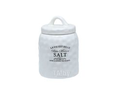 Банка для сыпучих продуктов керамическая "salt" 700 мл/11*11*15,5 см Fresca HC21A48-SA